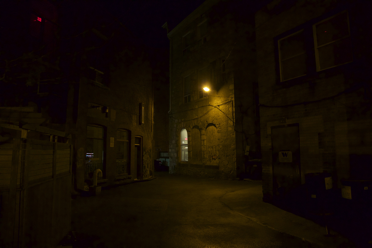 02 Douglas Street Alleyway - Capture photo 10 - Sounding the City 003 - Guelph 2018